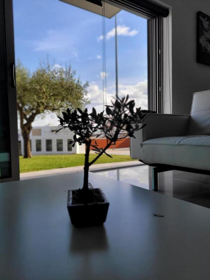 Olive Ap. Apartment Torreira Luaran gambar